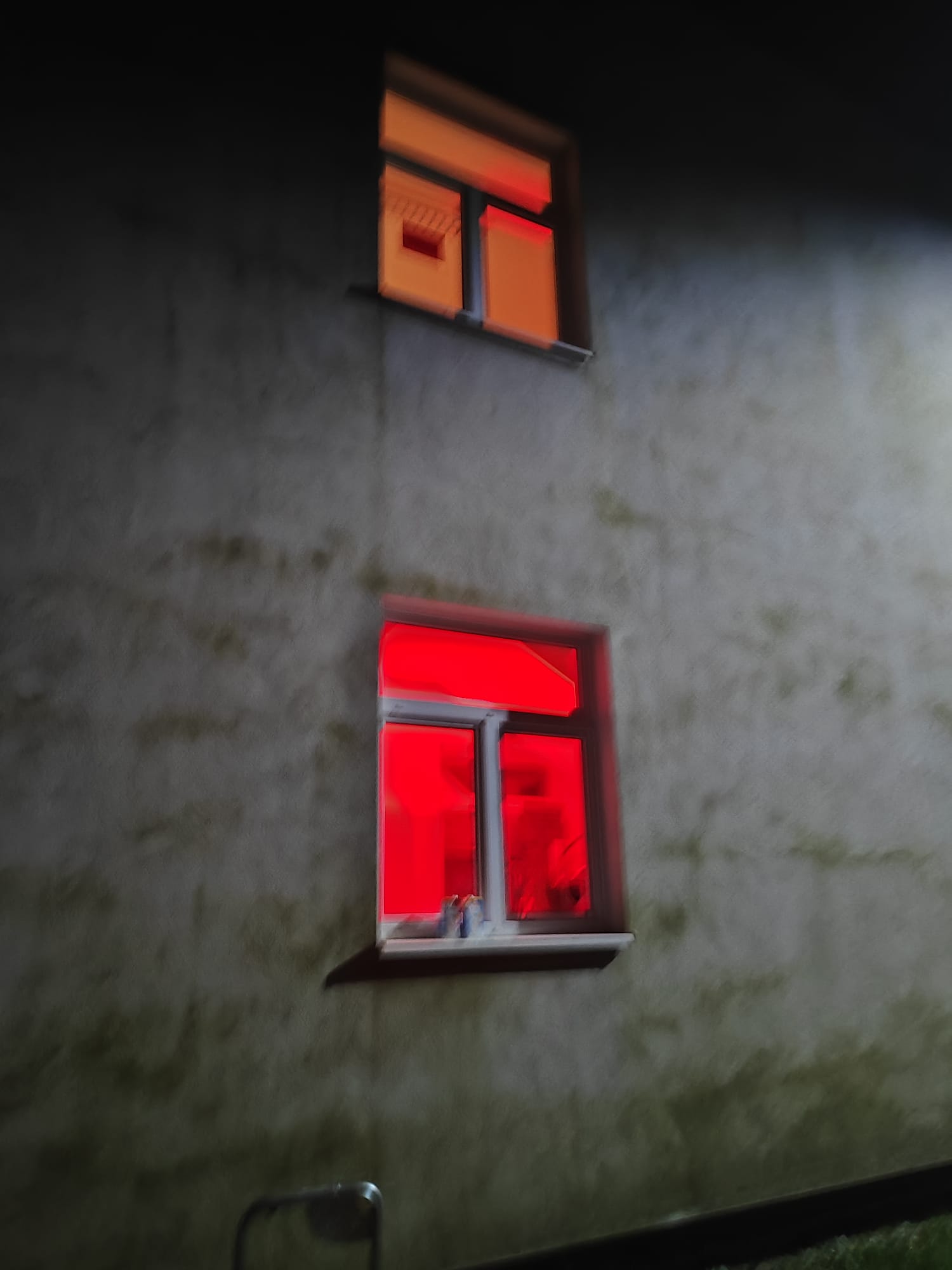 PHOTO 2025 11 20 08 46 53 5